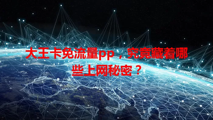大王卡免流量pp，究竟藏着哪些上网秘密？