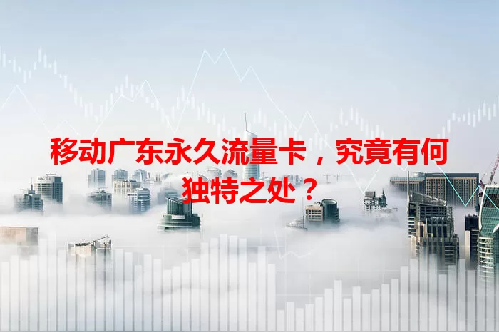 移动广东永久流量卡，究竟有何独特之处？