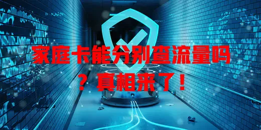 家庭卡能分别查流量吗？真相来了！
