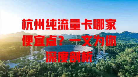 杭州纯流量卡哪家便宜点？一文为你深度剖析