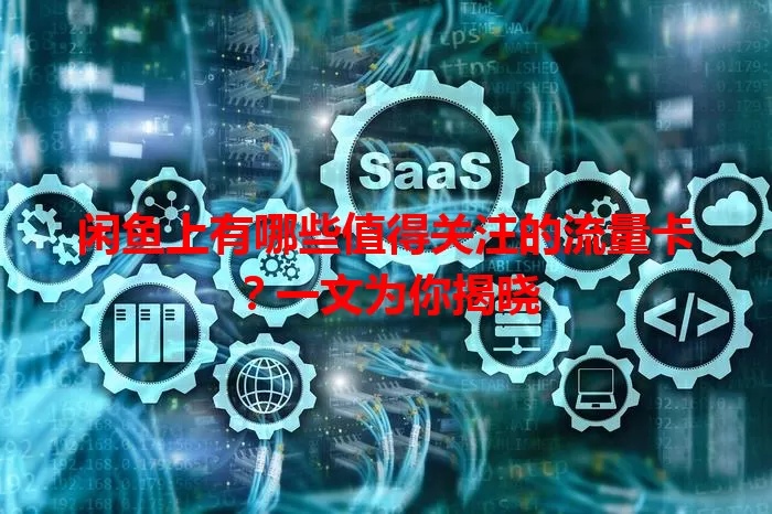 闲鱼上有哪些值得关注的流量卡？一文为你揭晓