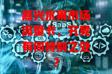嘉兴水果市场流量卡，究竟有何特别之处？