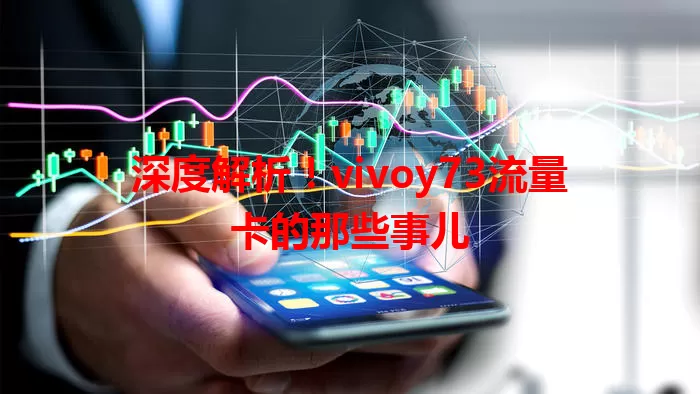 深度解析！vivoy73流量卡的那些事儿