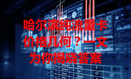 哈尔滨纯流量卡价格几何？一文为你揭晓答案