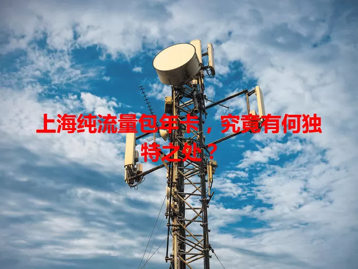 上海纯流量包年卡，究竟有何独特之处？