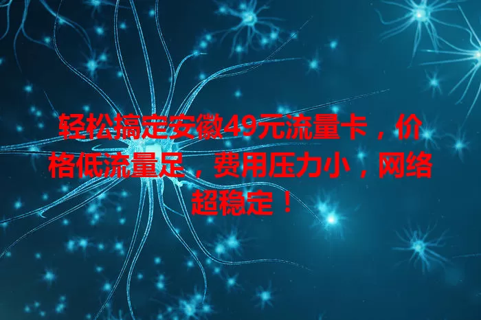 轻松搞定安徽49元流量卡，价格低流量足，费用压力小，网络超稳定！