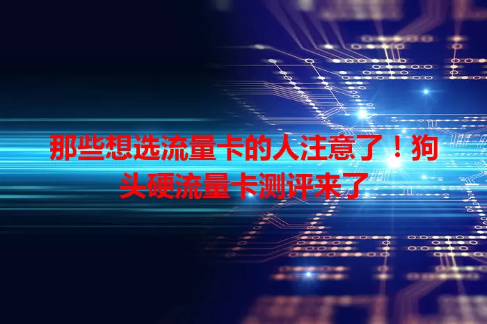 那些想选流量卡的人注意了！狗头硬流量卡测评来了