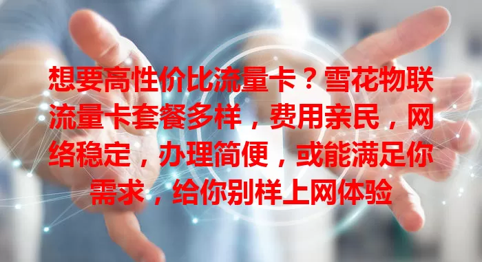 想要高性价比流量卡？雪花物联流量卡套餐多样，费用亲民，网络稳定，办理简便，或能满足你需求，给你别样上网体验