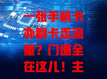 一张手机卡办副卡走流量？门道全在这儿！主副卡便捷共享，旅行副卡专用防主卡超耗，降成本又易操作，办时留意规则和网络兼容，尽享实惠通讯服务