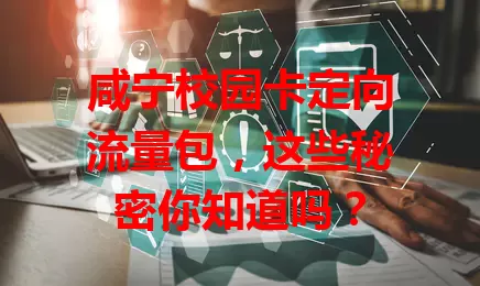 咸宁校园卡定向流量包，这些秘密你知道吗？