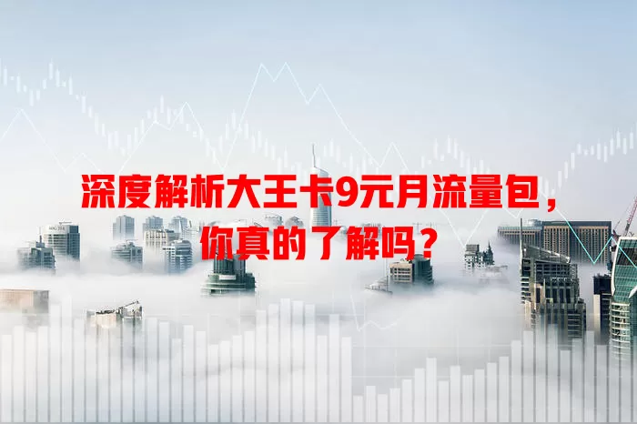 深度解析大王卡9元月流量包，你真的了解吗？