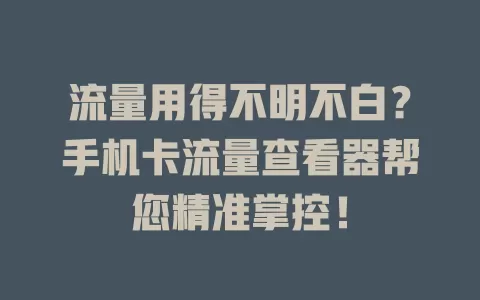 流量用得不明不白？手机卡流量查看器帮您精准掌控！