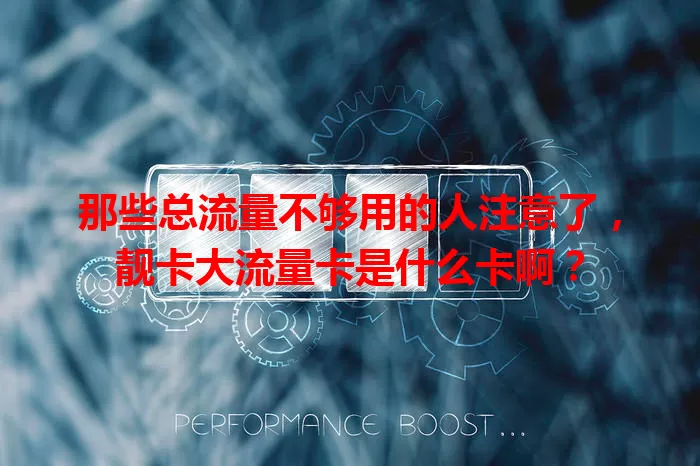 那些总流量不够用的人注意了，靓卡大流量卡是什么卡啊？