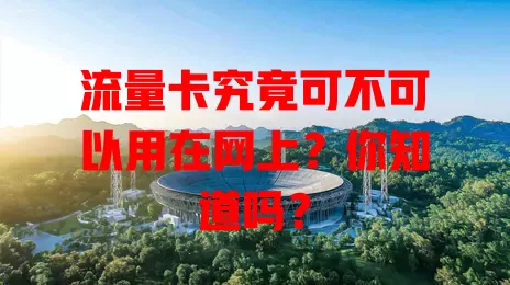 流量卡究竟可不可以用在网上？你知道吗？