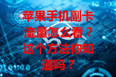 苹果手机副卡流量怎么看？这个方法你知道吗？