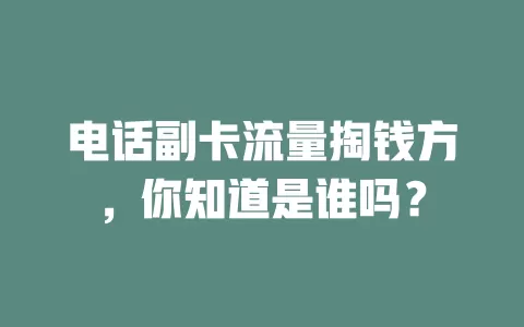 电话副卡流量掏钱方，你知道是谁吗？