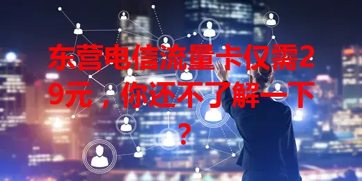 东营电信流量卡仅需29元，你还不了解一下？