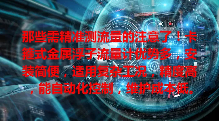 那些需精准测流量的注意了！卡箍式金属浮子流量计优势多，安装简便，适用复杂工况，精度高，能自动化控制，维护成本低。选它有要点，关注口径、参数、品牌及售后，为行业运行发展助力