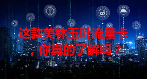 这款美林玉叶流量卡，你真的了解吗？