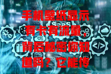手机壁纸显示有卡有流量，背后秘密你知道吗？它能传达网络连接信号，反映手机状态，还可用于个性表达，关乎手机使用与生活管理，快留意！