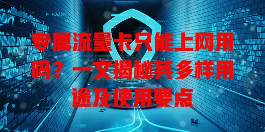 专属流量卡只能上网用吗？一文揭秘其多样用途及使用要点