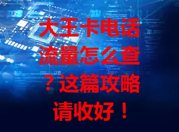 大王卡电话流量怎么查？这篇攻略请收好！