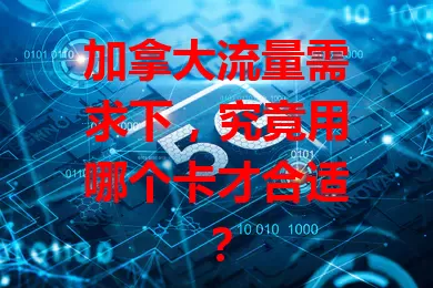 加拿大流量需求下，究竟用哪个卡才合适？