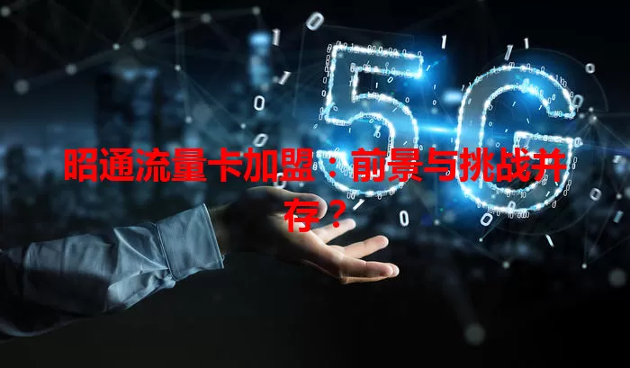 昭通流量卡加盟：前景与挑战并存？