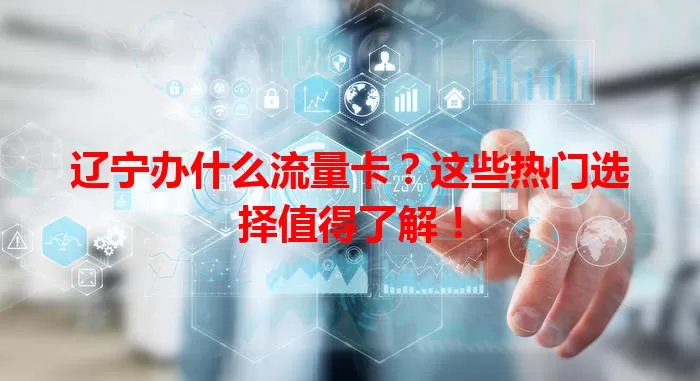 辽宁办什么流量卡？这些热门选择值得了解！