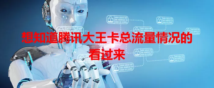 想知道腾讯大王卡总流量情况的看过来