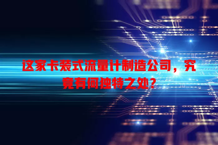 这家卡装式流量计制造公司，究竟有何独特之处？