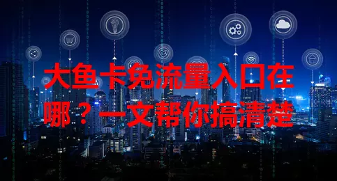 大鱼卡免流量入口在哪？一文帮你搞清楚