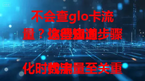 不会查glo卡流量？这些查询步骤你得知道

数字化时代流量至关重要，glo卡流量查询有多种方式。拨打客服电话方便快捷，官方APP能查详情还能分析趋势，短信代码无需下载软件，网上营业厅信息全，掌握步骤畅享数字生活。