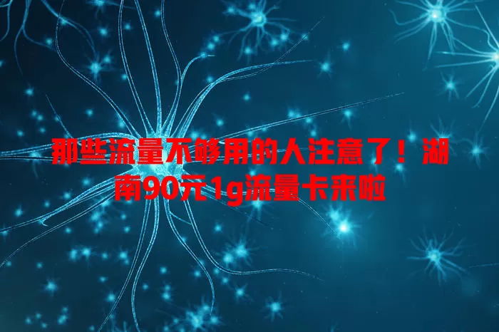 那些流量不够用的人注意了！湖南90元1g流量卡来啦