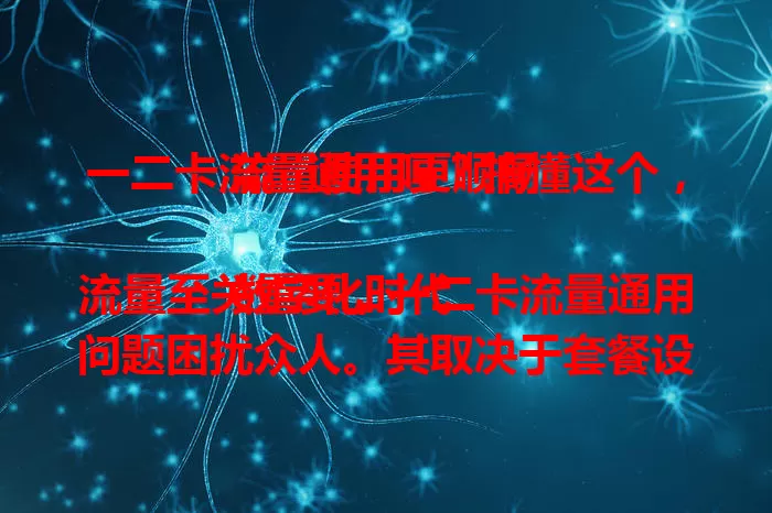一二卡流量通用吗？搞懂这个，流量使用更顺畅

数字化时代流量至关重要，一二卡流量通用问题困扰众人。其取决于套餐设置，有的通用方便，有的受限。了解是否通用及查询方法，能助用户规划流量，避免超支。