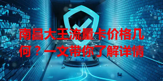 南昌大王流量卡价格几何？一文带你了解详情
