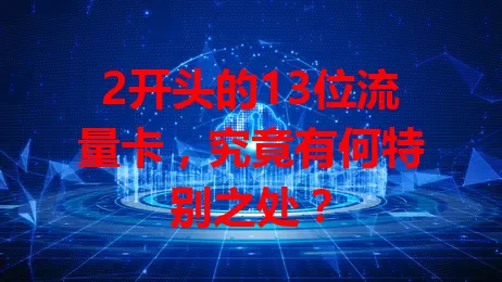 2开头的13位流量卡，究竟有何特别之处？