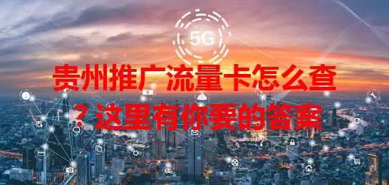 贵州推广流量卡怎么查？这里有你要的答案