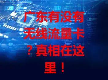 广东有没有无线流量卡？真相在这里！