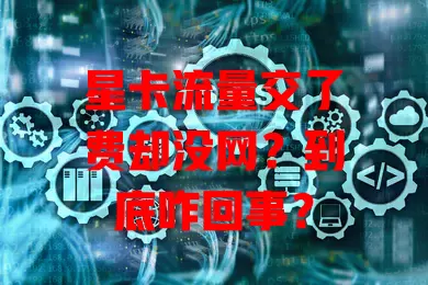 星卡流量交了费却没网？到底咋回事？