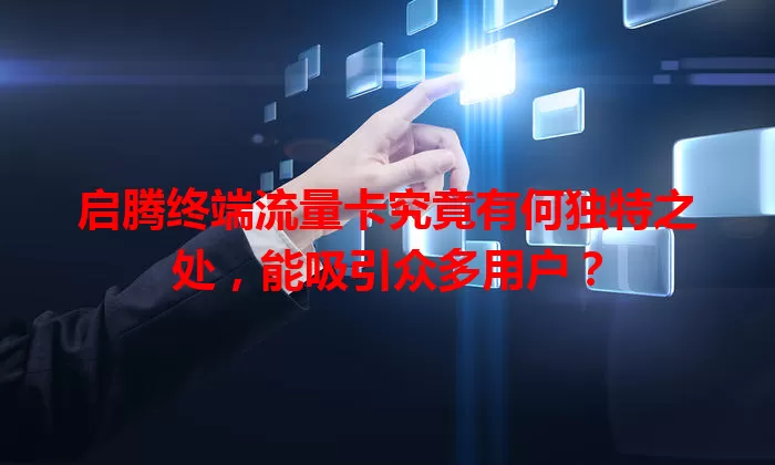 启腾终端流量卡究竟有何独特之处，能吸引众多用户？