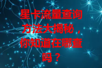 星卡流量查询方法大揭秘，你知道在哪查吗？