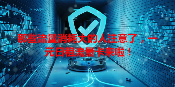 那些流量消耗大的人注意了，一元日租流量卡来啦！