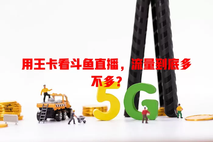 用王卡看斗鱼直播，流量到底多不多？
