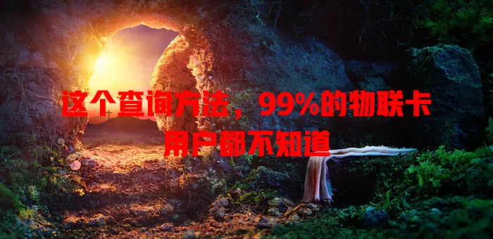 这个查询方法，99%的物联卡用户都不知道