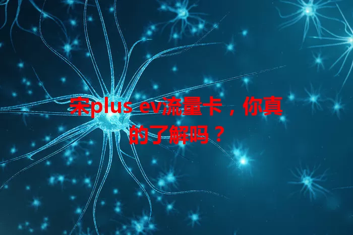 宋plus ev流量卡，你真的了解吗？