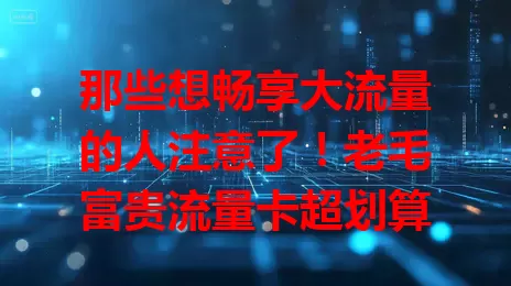 那些想畅享大流量的人注意了！老毛富贵流量卡超划算