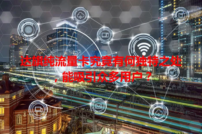 达旗纯流量卡究竟有何独特之处，能吸引众多用户？