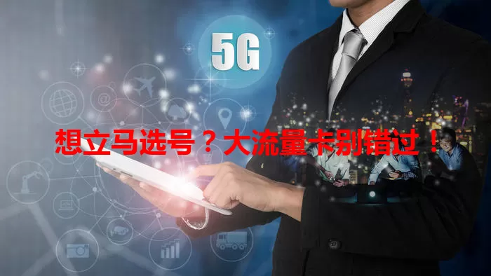 想立马选号？大流量卡别错过！