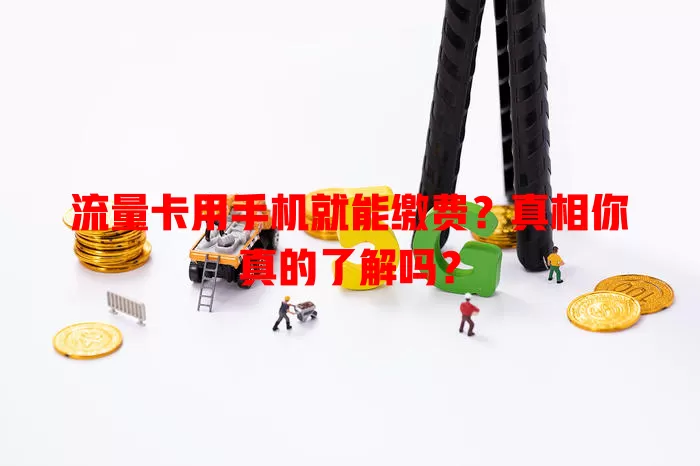 流量卡用手机就能缴费？真相你真的了解吗？